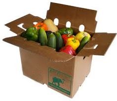 Wax Coated Packaging Boxes for Fruits.jpg